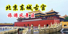 性感美女老师被大鸡巴操的视频中国北京-东城古宫旅游风景区